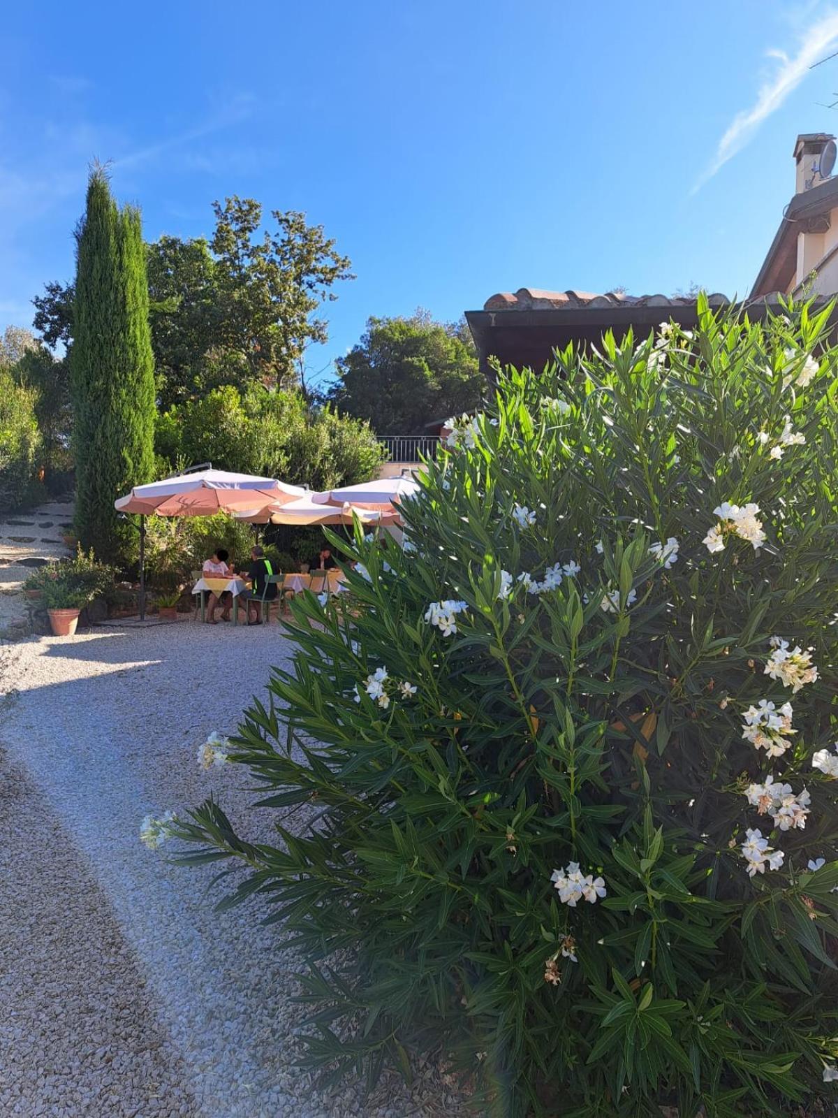 Casale Terre Rosse Bed and Breakfast Saturnia Buitenkant foto