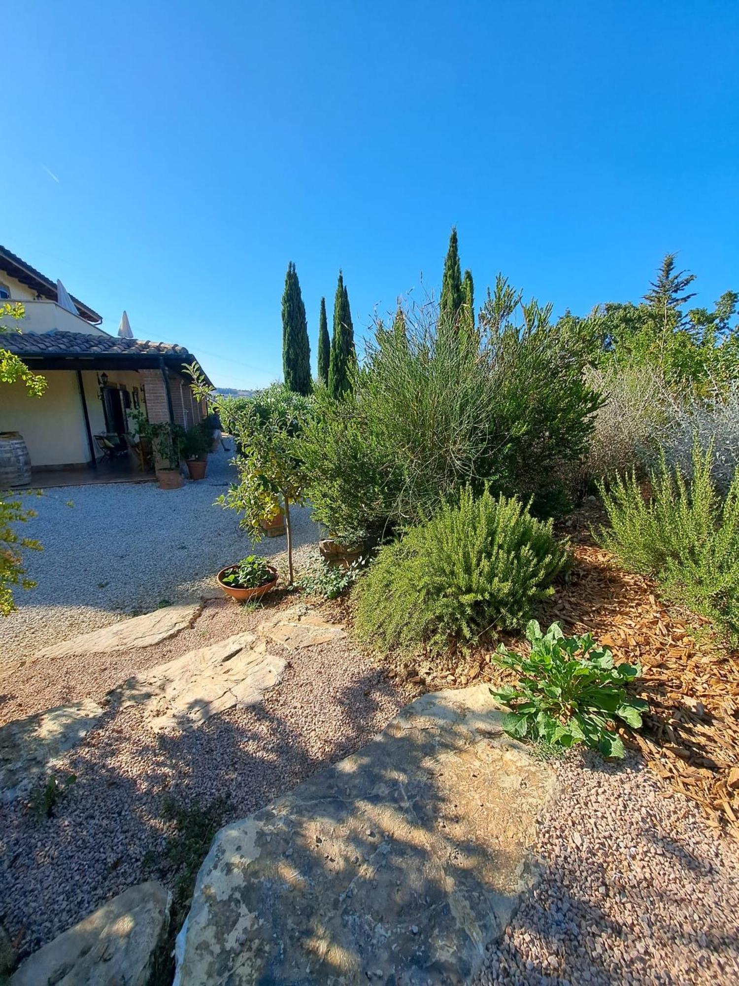 Casale Terre Rosse Bed and Breakfast Saturnia Buitenkant foto