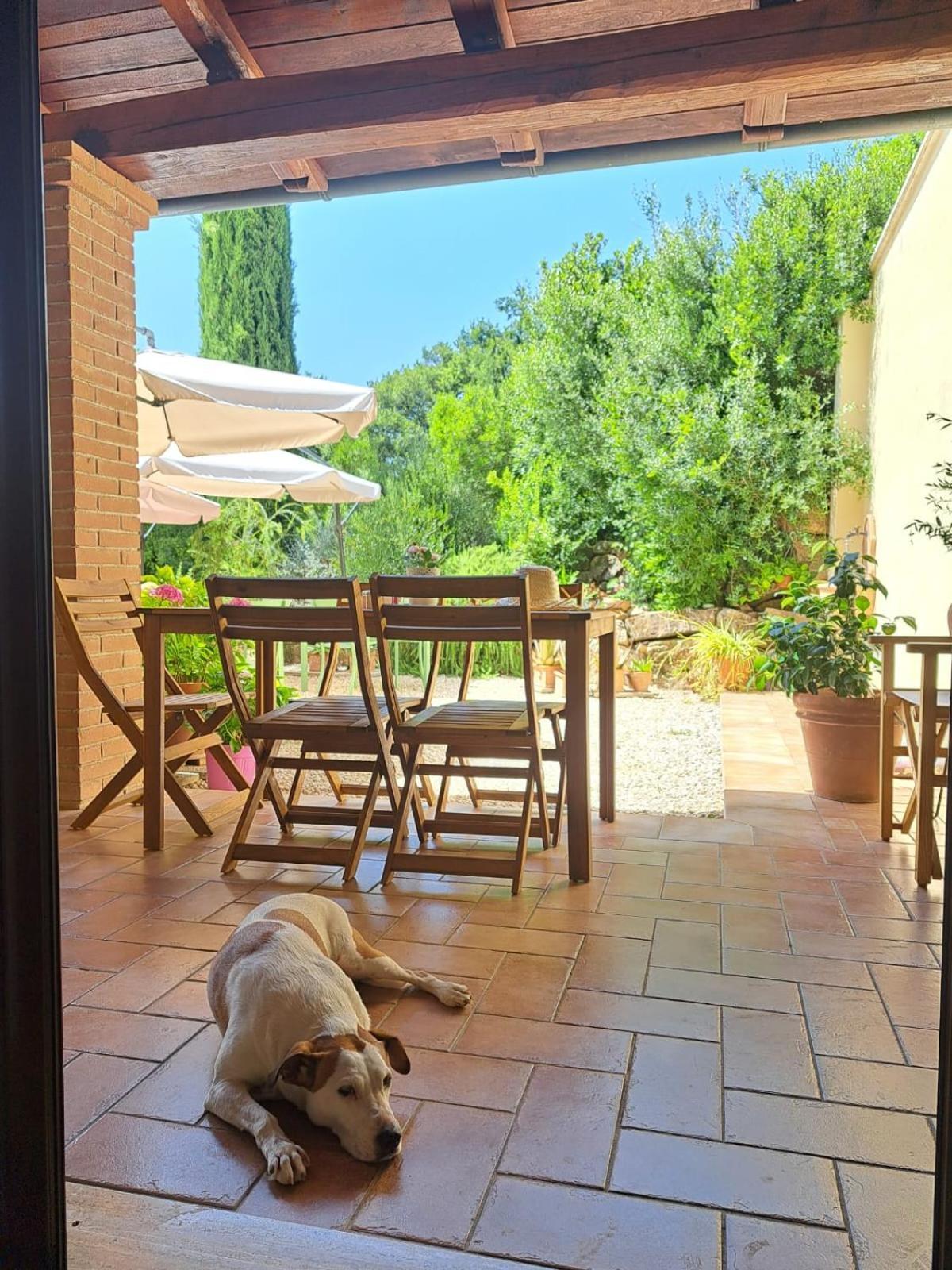 Casale Terre Rosse Bed and Breakfast Saturnia Buitenkant foto