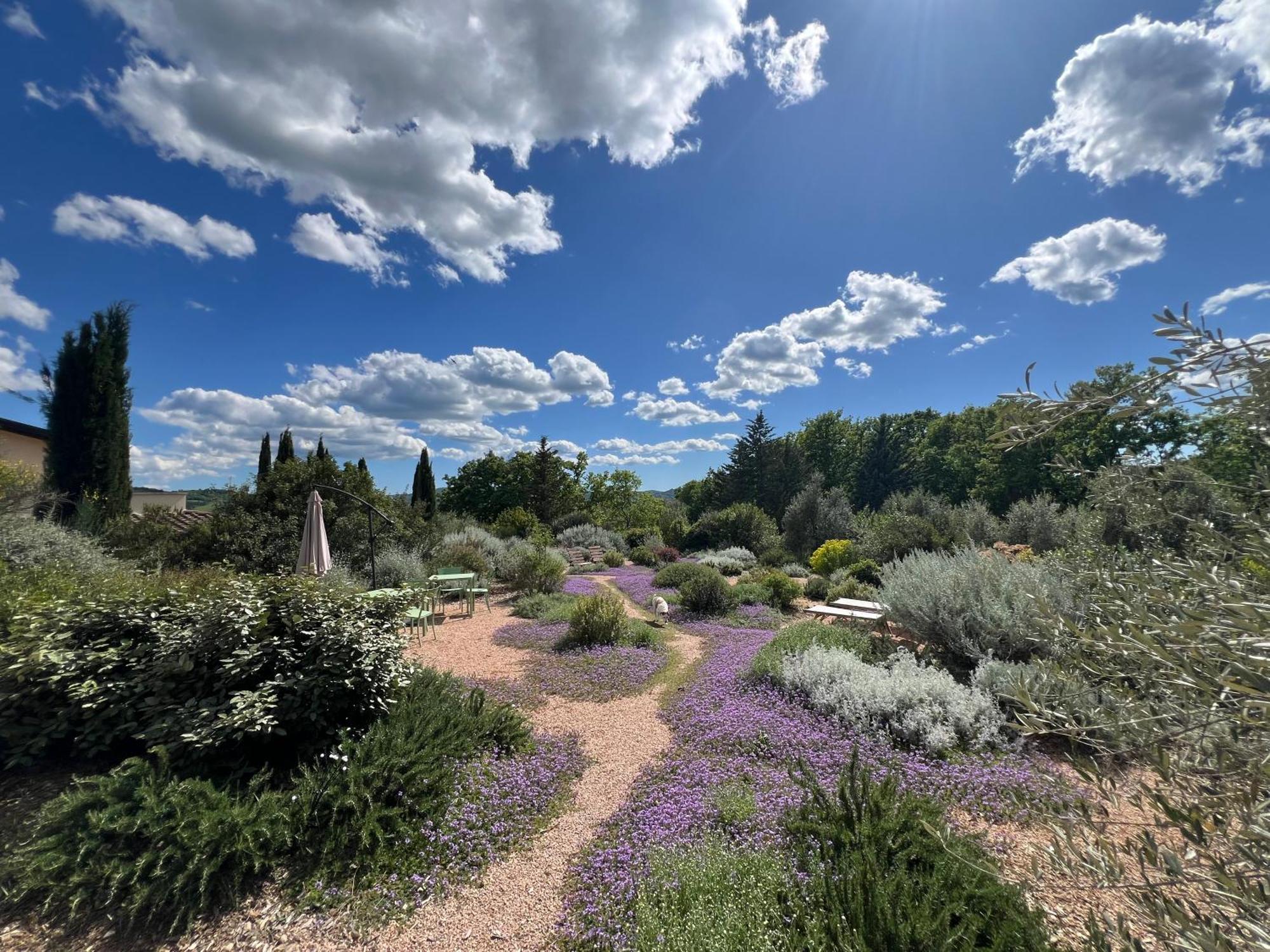 Casale Terre Rosse Bed and Breakfast Saturnia Buitenkant foto