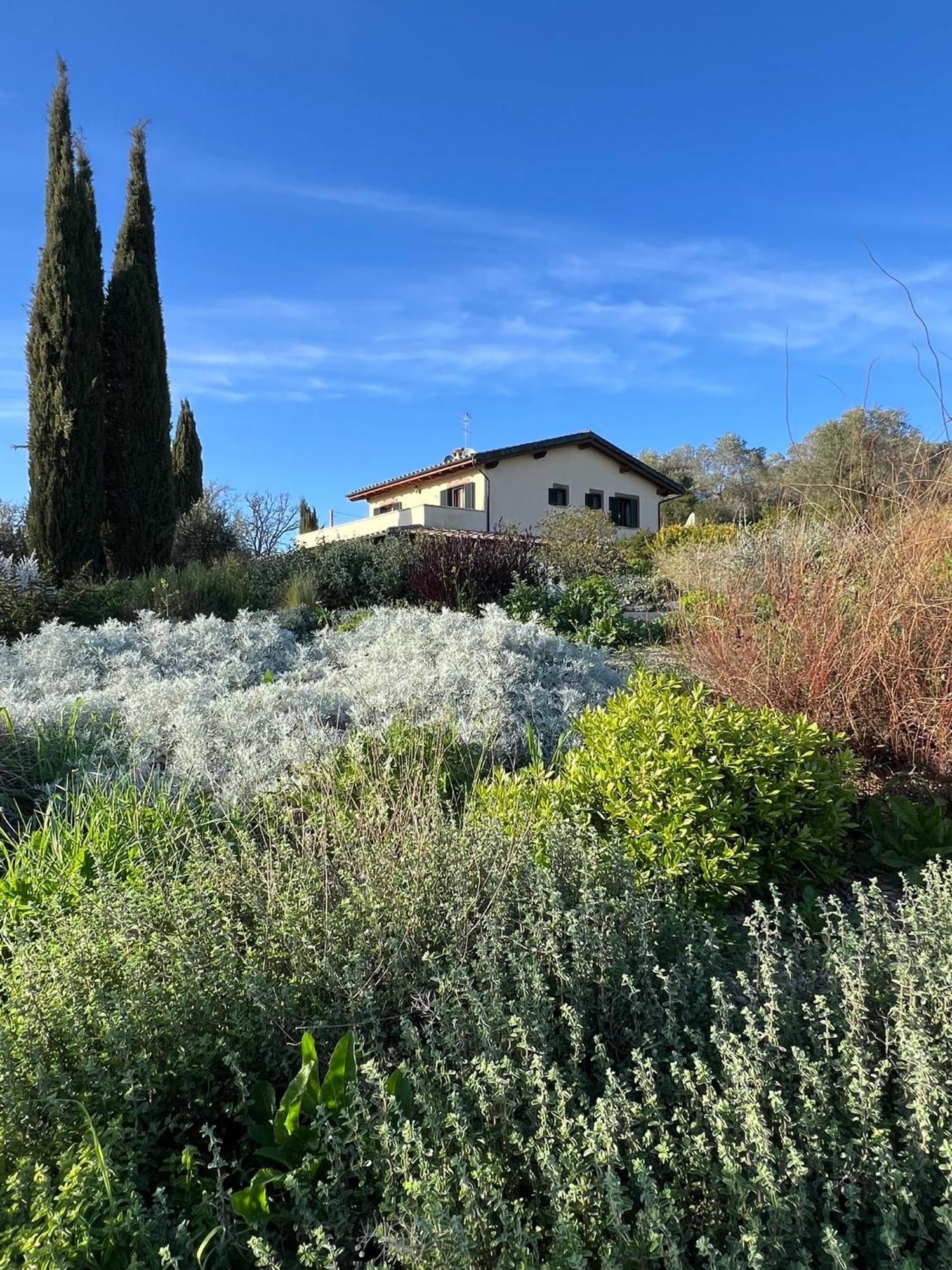 Casale Terre Rosse Bed and Breakfast Saturnia Buitenkant foto