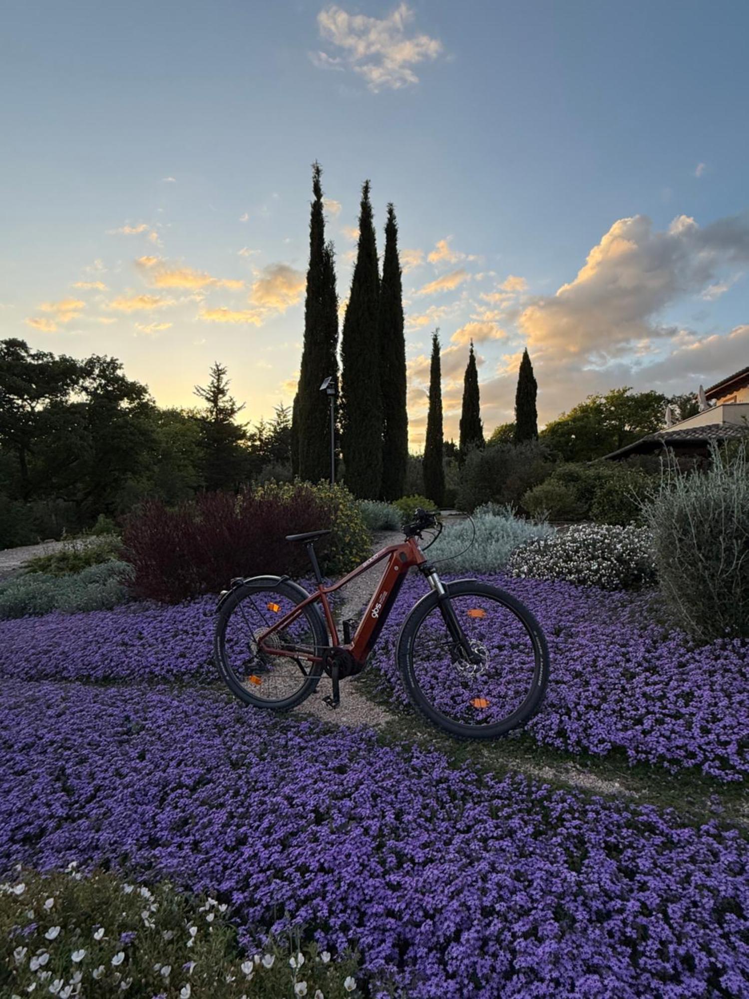Casale Terre Rosse Bed and Breakfast Saturnia Buitenkant foto