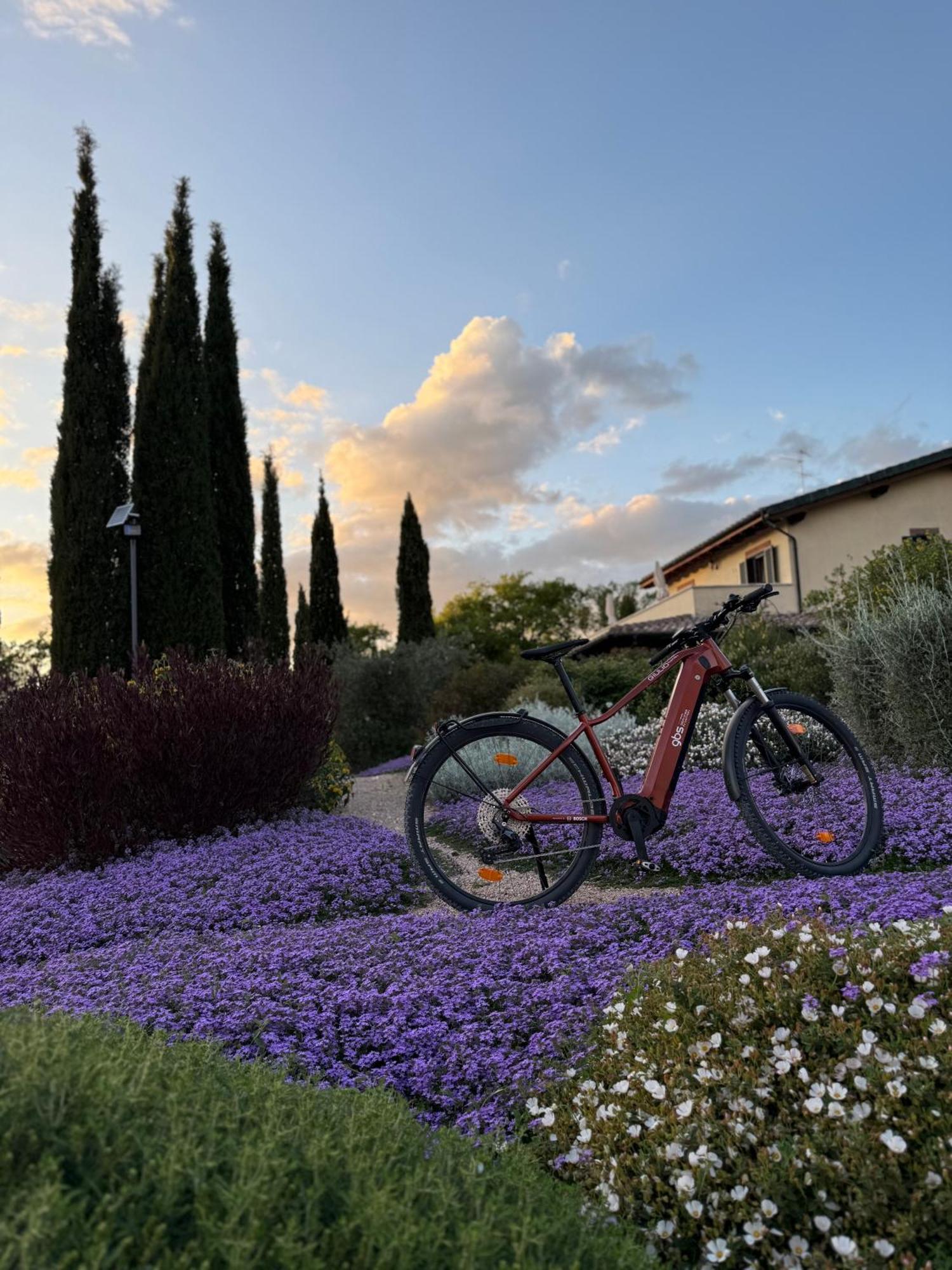 Casale Terre Rosse Bed and Breakfast Saturnia Buitenkant foto